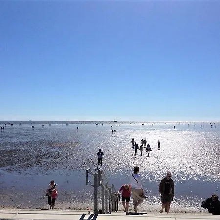 Nordseeresort 48 Marschengruen בוסום